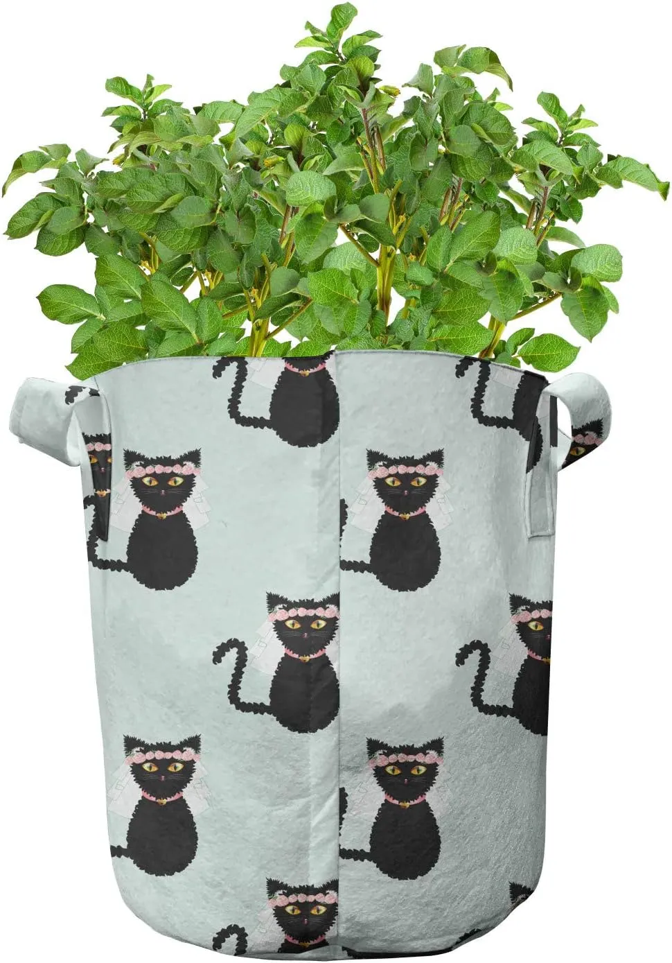 Ambesonne Cat Grow Bags 5-Pack, Funny Bride Kitten Repetition, Heavyduty Fabric Pots with Handles for Plants, Pale Blue Charcoal Grey