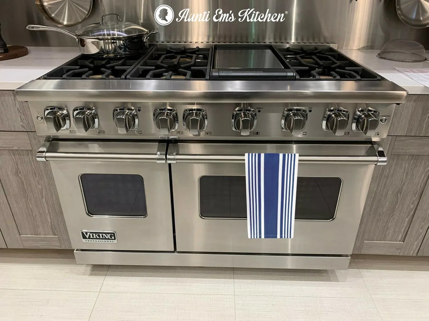 Aunti Em's Kitchen Designer Hand and Kitchen Dish Towels Woven from 100% Responsibly-Farmed, Thick, Luxurious Cotton, Oversized 20 x 30 inches, One Half Dozen, Blueberry Stripe