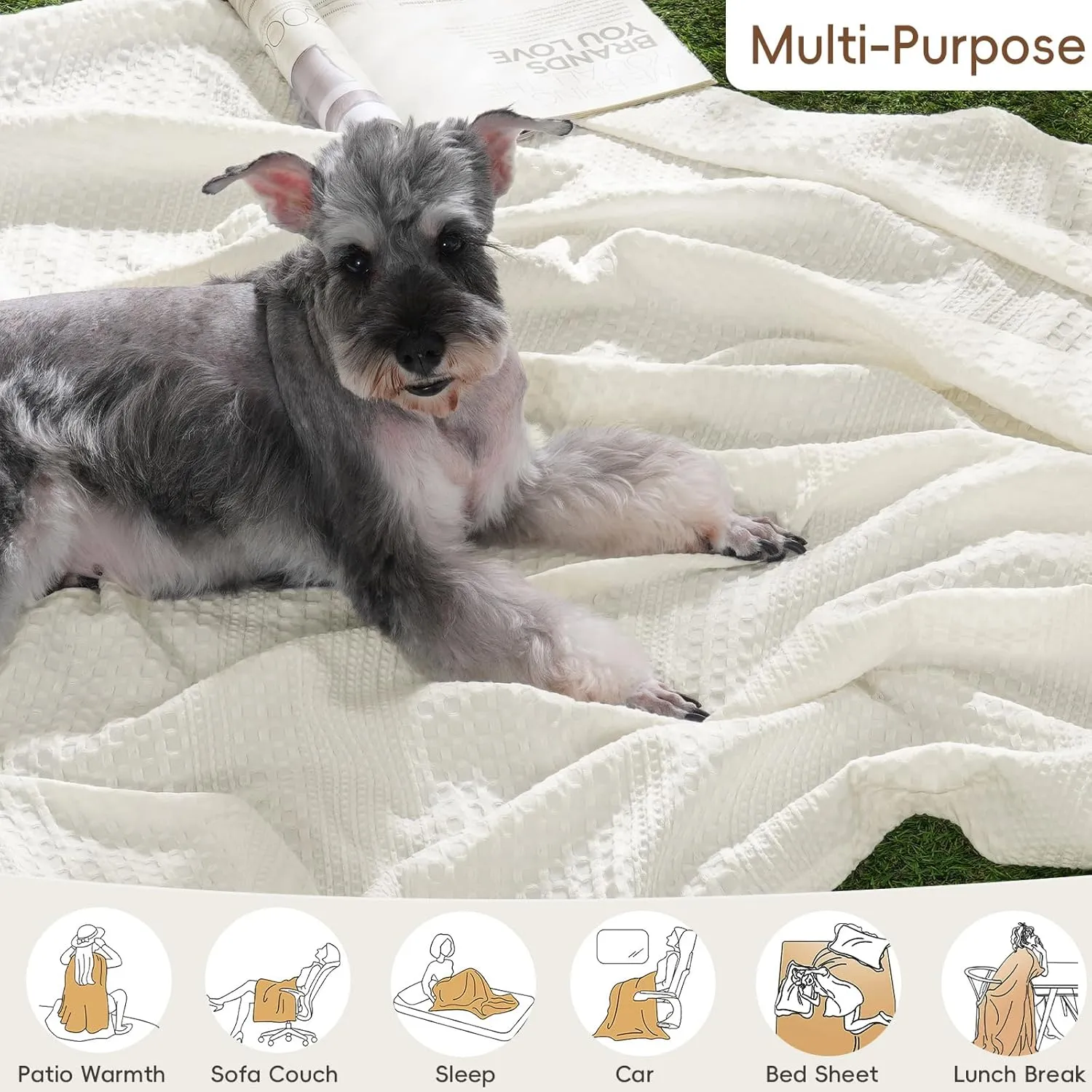 David's Home Cozy Waffle Weave Blanket Queen Size, Ultra Soft Breathable Lightweight Skin-Friendly Throw for Summer, Elegant Room Decor for Couch Bed Sofa Car Travel, White