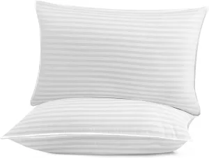Deconovo Luxury Hotel Collection Pillows, Breathable Cotton Cover, Plush Down Alternative Filling – Cooling, Gentle on Sensitive Skin, Machine Washable – 2-Pack Queen Size (20 x 30 Inch)