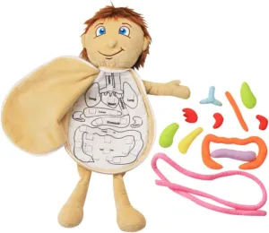 Educational Organ Plush Interactive Body Organ Awareness Puzzle for Preschool Learning Fun Teaching Tool to Explore Human Anatomy and Enhance Cognitive Skills