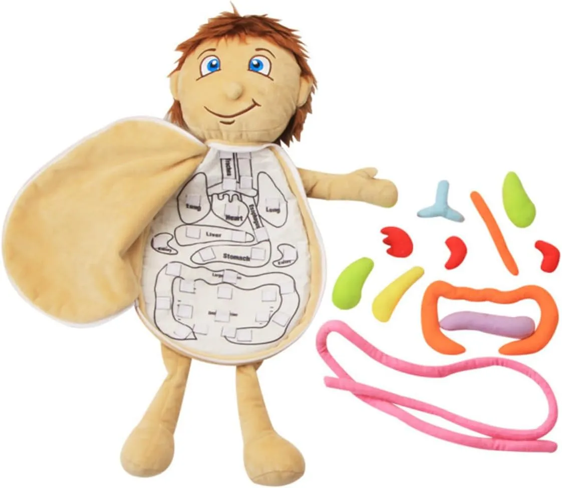 Educational Organ Plush Interactive Body Organ Awareness Puzzle for Preschool Learning Fun Teaching Tool to Explore Human Anatomy and Enhance Cognitive Skills