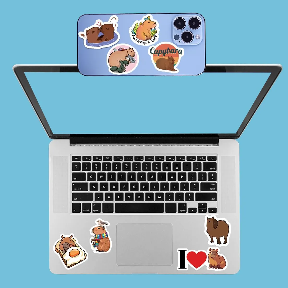 Funny Capybara Makeup Bag Capybara Gifts Cosmetic Bag with 8 PCs Stickers Animal Lover Gifts for Women Girls Daughter Best Friends Sisters Capybara Stuff Graduation Birthday Gifts Travel Toiletry Bag