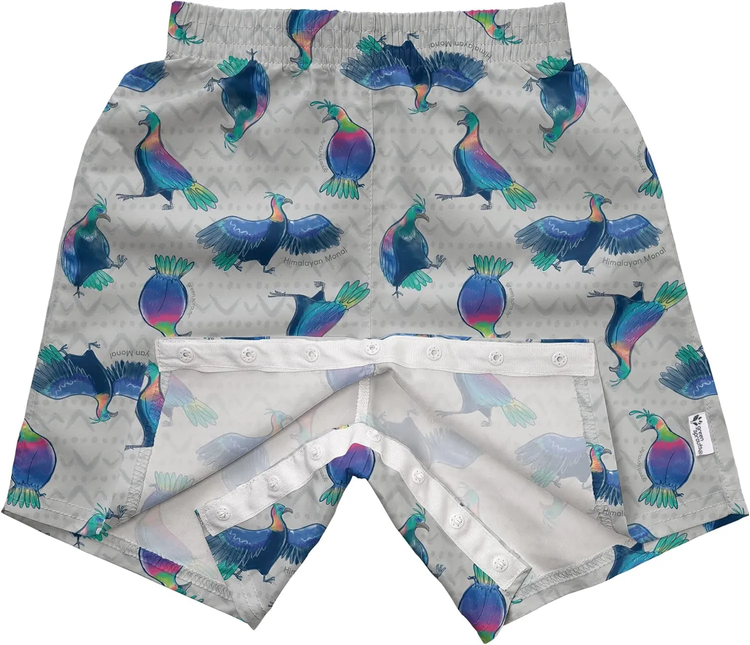 green sprouts Boys' Without Built-in Diaper
