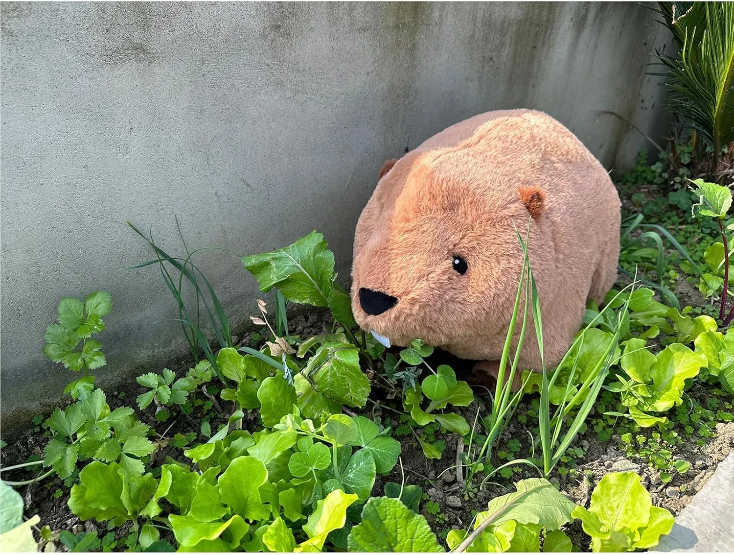Hofun4U Beaver Plush Pillow with Big Front Teeth, Beaver Stuffed Animal, for Kids Adults (Brown 17.3 inch)