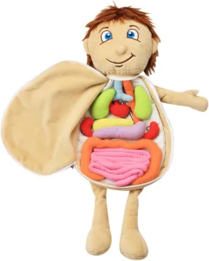 Human Body Anatomy Plush Toy for Boy Girl Educational Organ Puzzle Doll Tool for Preschool Boys and Girls Christmas and Birthday