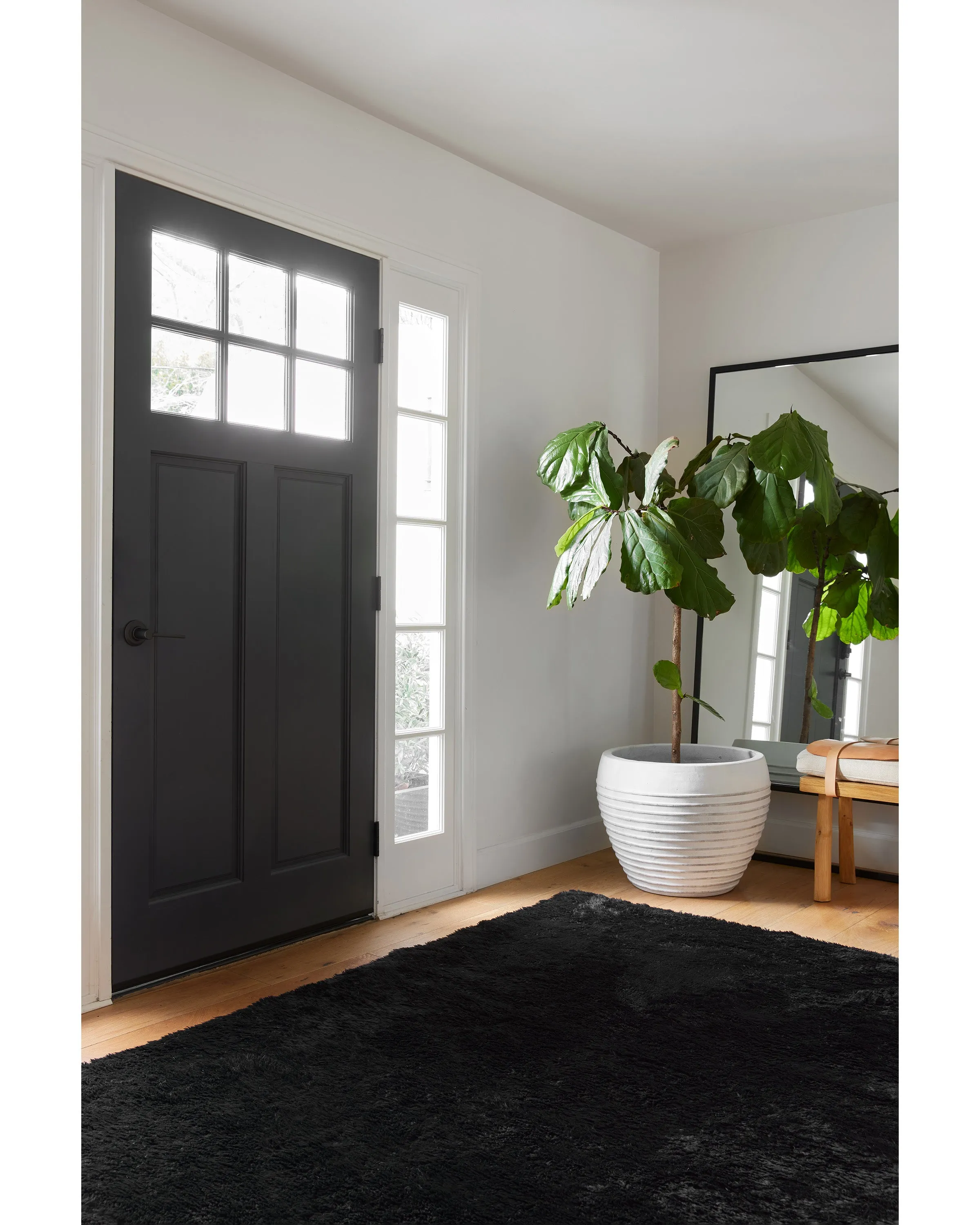 Ink Black Plush Rug
