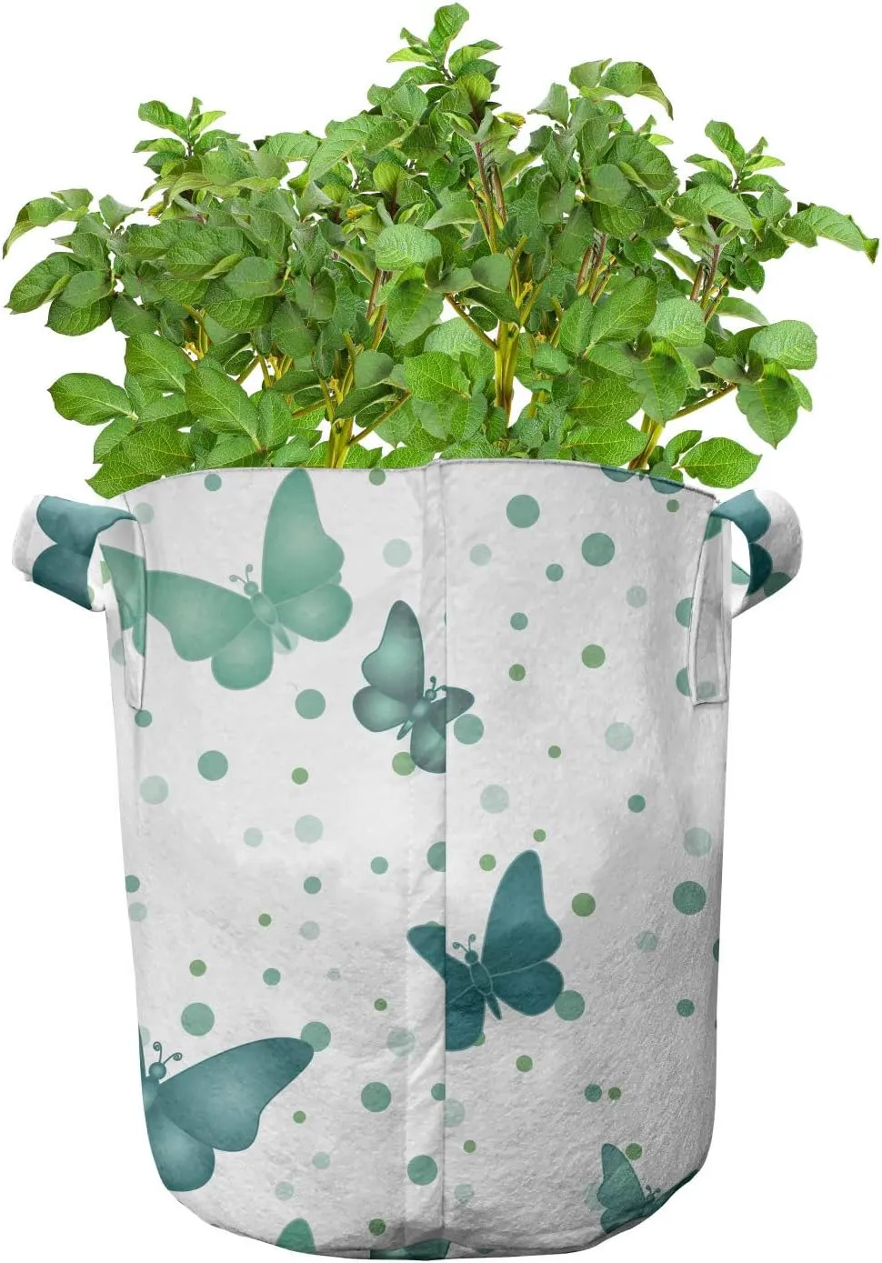 Lunarable Butterflies Grow Bags 5-Pack, Moth Insects on Rounds, Heavyduty Fabric Pots with Handles for Plants, White Teal