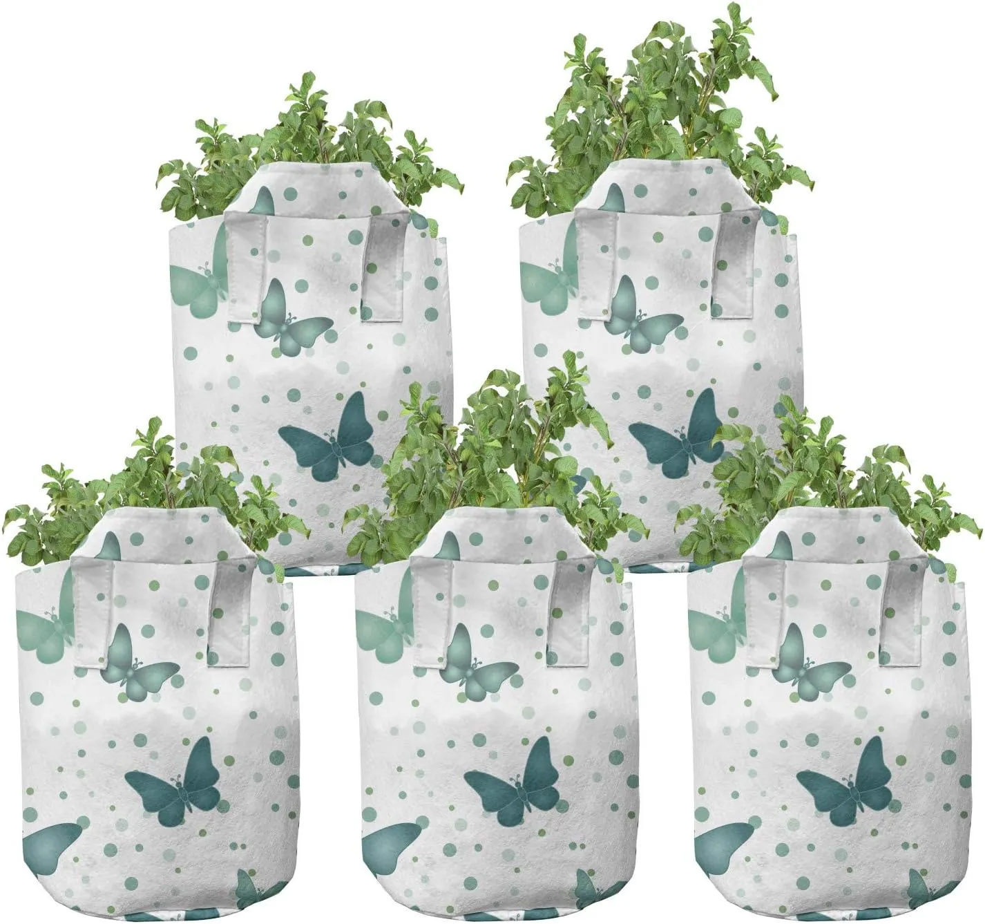 Lunarable Butterflies Grow Bags 5-Pack, Moth Insects on Rounds, Heavyduty Fabric Pots with Handles for Plants, White Teal
