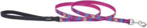 LupinePet Originals 1/2" Wing It 4-foot Padded Handle Leash for Small Pets