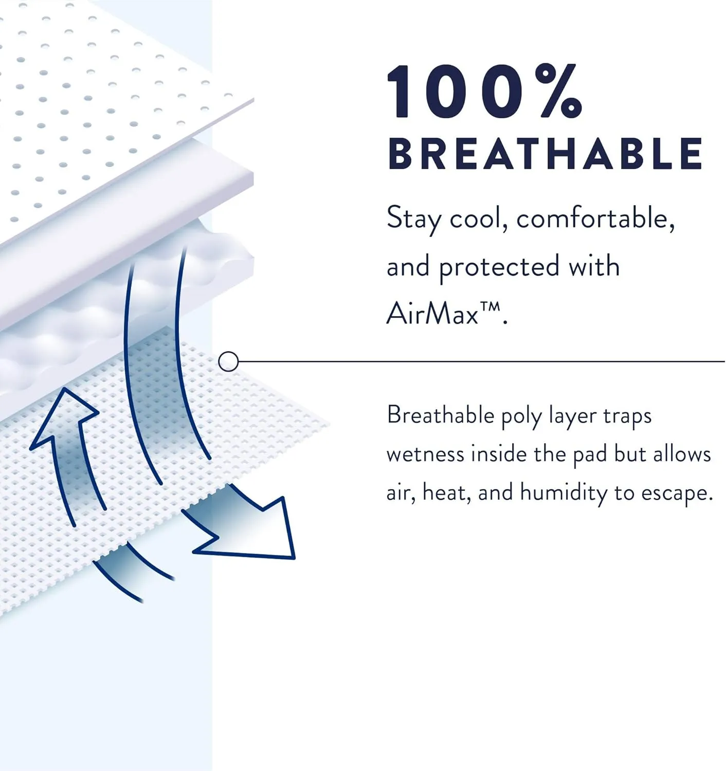 Prevail Proven | Large Pull-Up | Men's Incontinence Protective Underwear | Maximum Absorbency |18 Count (Pack of 4)