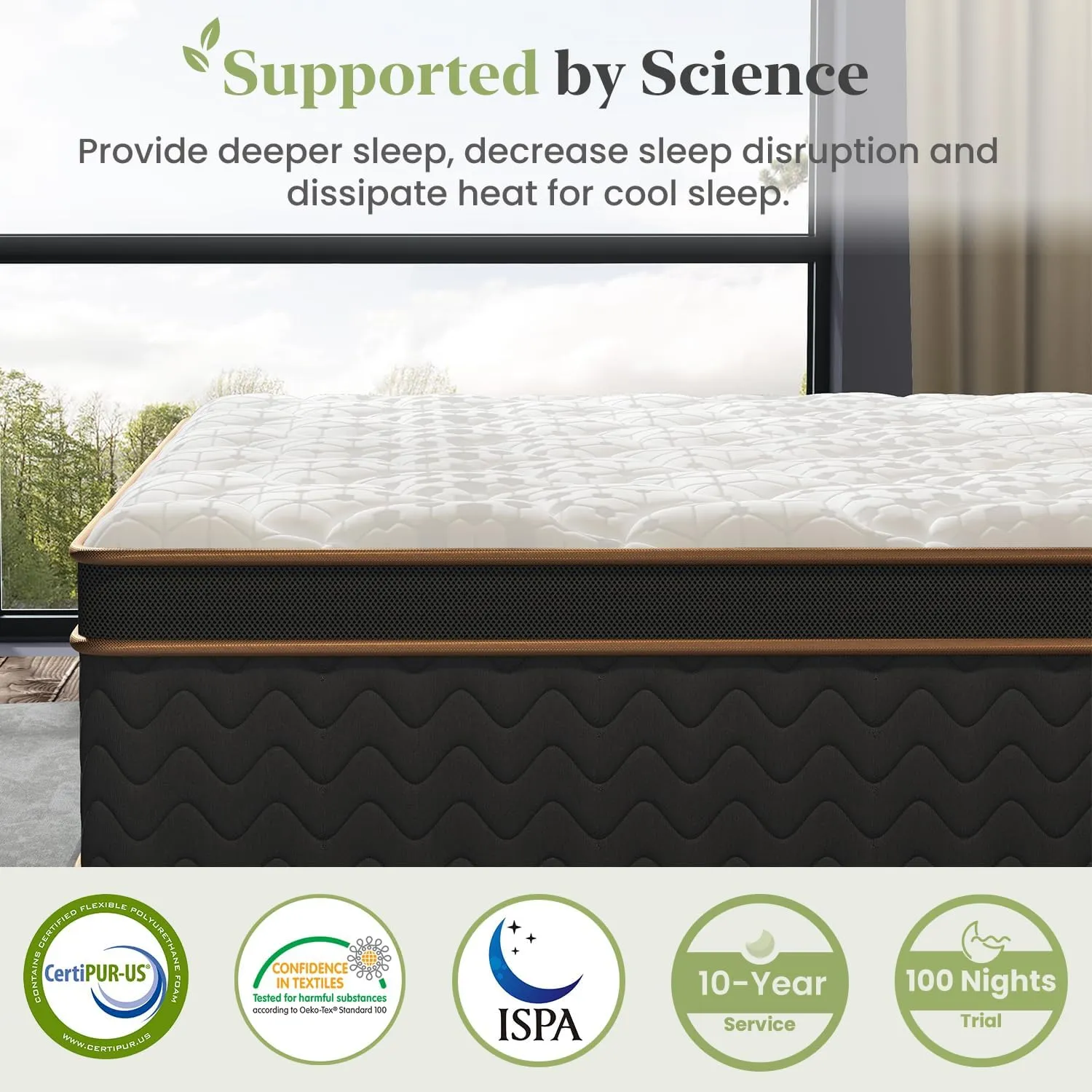 Queen Mattress, 14 Inch Plush Hybrid Mattresses with Gel Memory Foam, Fiberglass-Free Mattress in a Box, Individual Pocket Spring-Motion Isolation-Extra Edge Support, 365 Nights Trial,CertiPUR-US