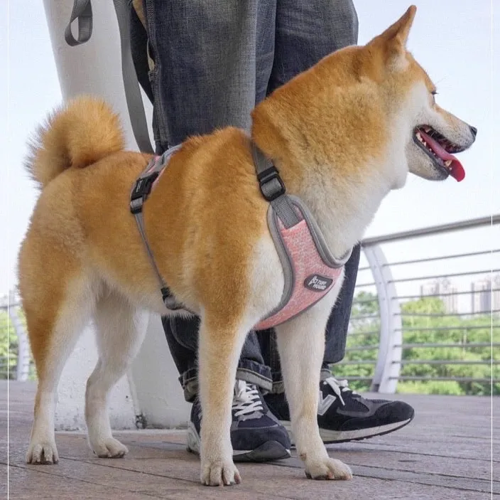 Reflective Adjustable Dog Harness