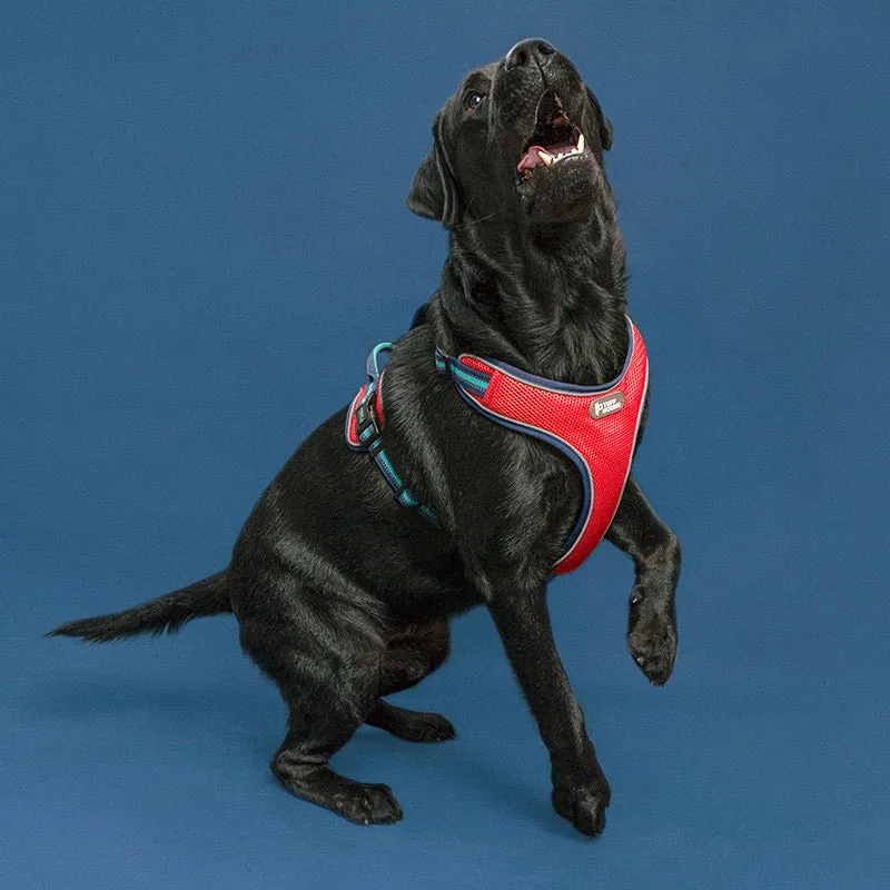 Reflective Adjustable Dog Harness