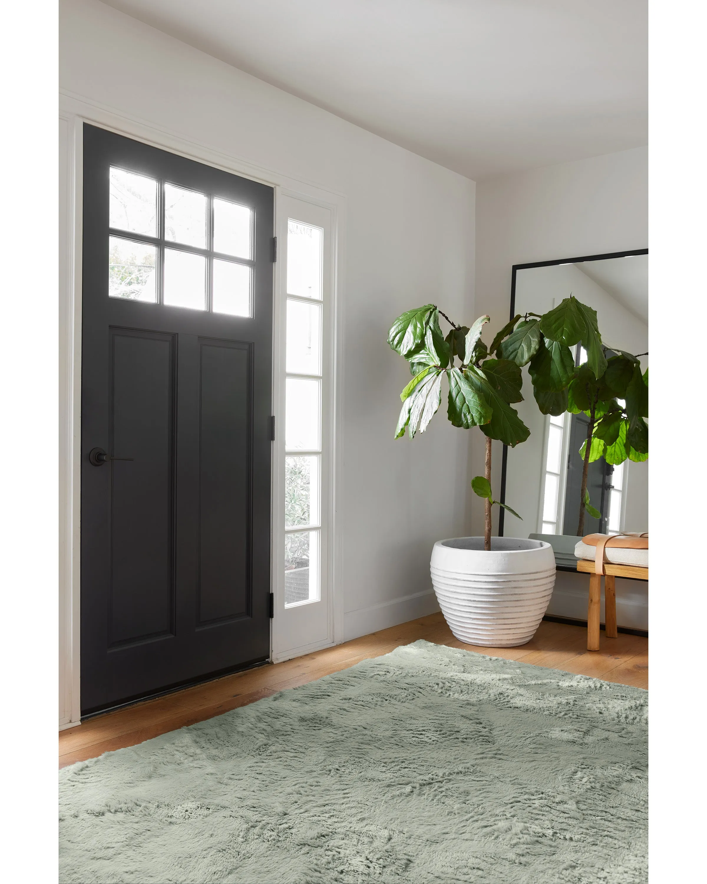 Sage Green Plush Rug
