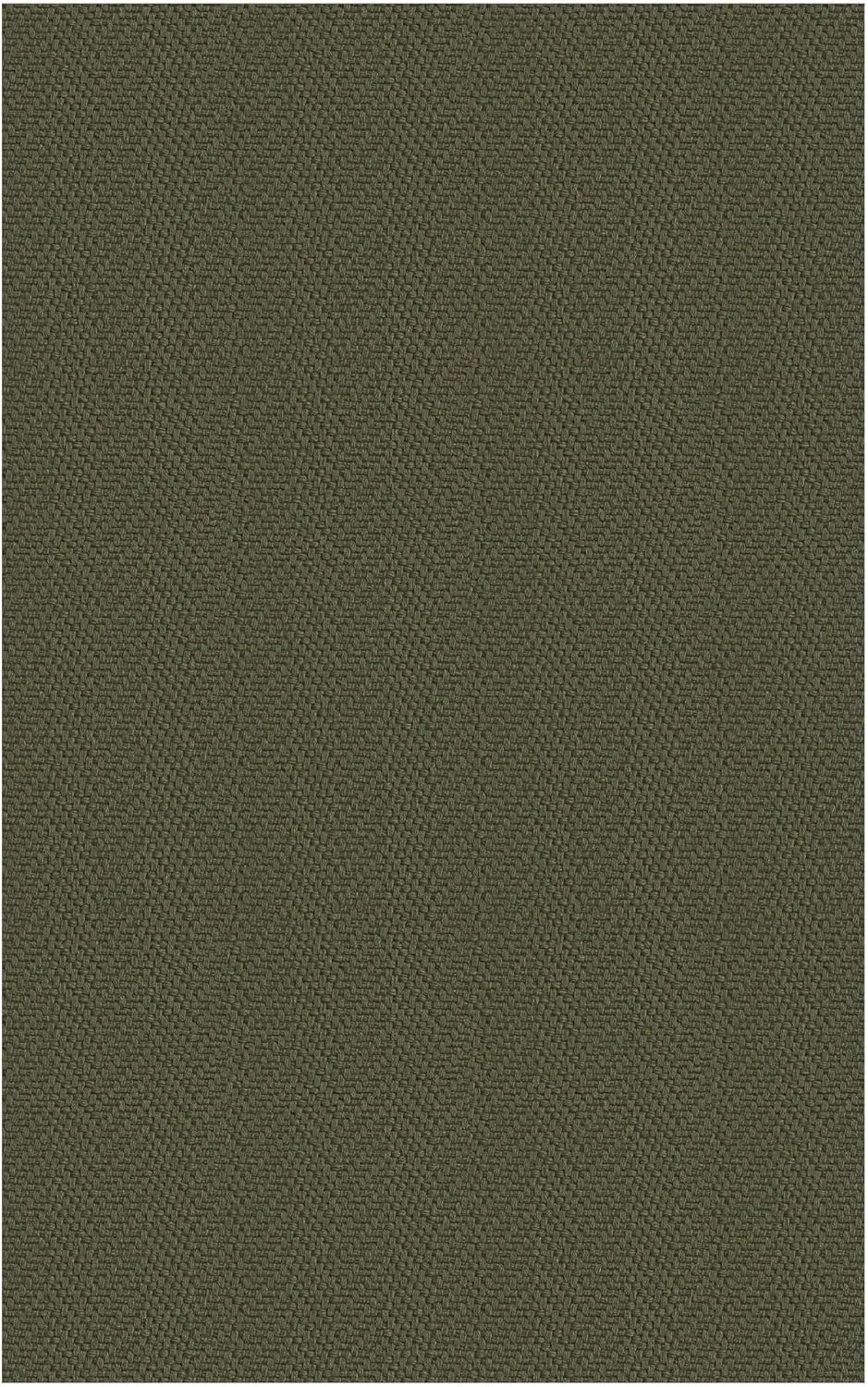 Small Braided Rugs 2x3 Ft Area Rugs for Entryway Boho Washable Rug Throw Rugs with Rubber Backing Cotton Woven Door Mat Indoor Entrance Front Door Rugs for Foyer Bathroom Kitchen, Dark Green