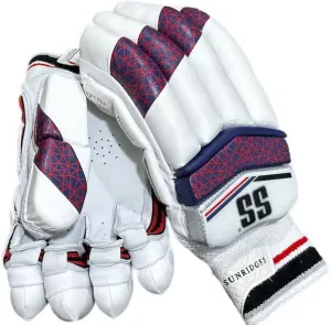 SS Tournament Batting Cricket Glove