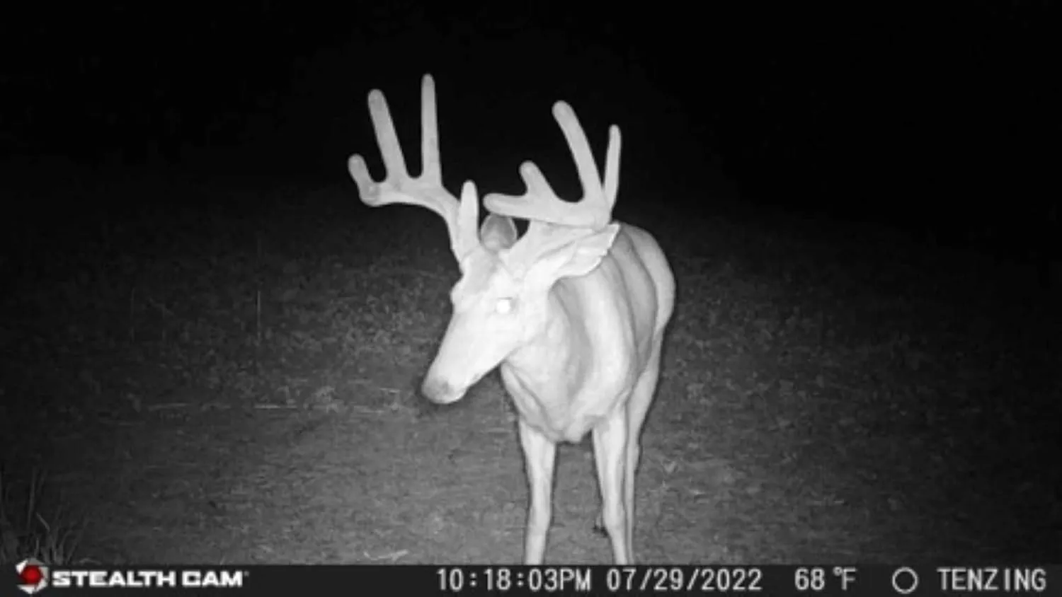 Stealth Cam Fusion X Verizon 26 MP Photo & 1080P at 30FPS Video 0.4 Sec Trigger Speed Wireless Hunting Trail Camera - Supports SD Cards Up to 32GB, Multi