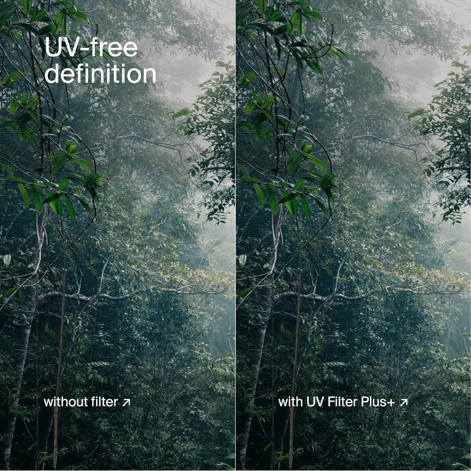 Urth 77mm UV Lens Filter (Plus ) - Ultra-Slim, 30-Layer Nano-Coated UV Camera Lens Protection
