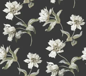 York Wallcoverings PSW1372RL Black Large Parrot Tulip Premium Peel and Stick Wallpaper